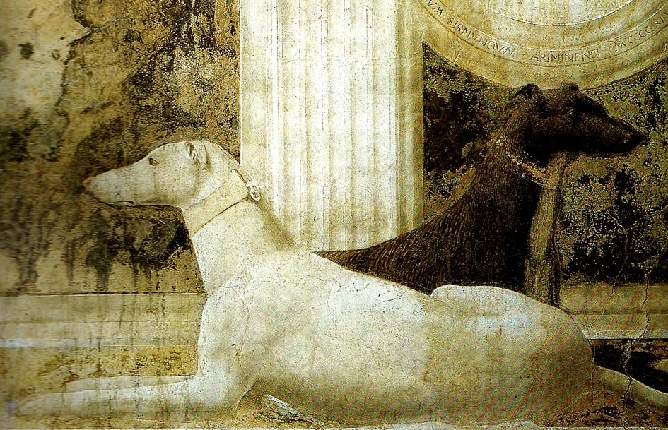 detail of the dogs from st sigismund  and sigismondo pandolfo malatesta